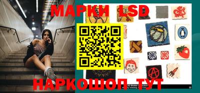 стафф Владимир