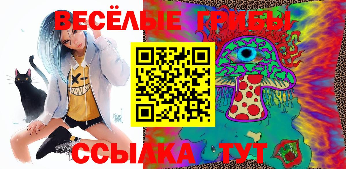 Галлюциногенные грибы MAGIC MUSHROOMS  Галлюциногенные грибы GOLDEN TEACHER  Черняховск  Вход с VPN 